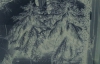 73_t94a9101-02kl.jpg