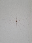 76_20230818170559-01kl.jpg