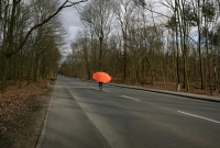 21_martinwmaiersonnenschirm0801-copy.jpg
