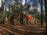 21_martinwmaiersonnenschirm0901-copy.jpg