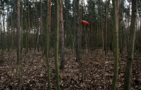 21_martinwmaiersonnenschirm1001-copy.jpg