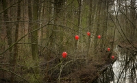 25_ballon-grunewaldkanala02-copy.jpg