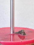 78_20230904120905-01.jpg