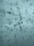 79_20240404173830-kl.jpg