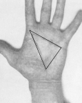 80_korrektur-handliniena01-kl.jpg