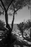 84_t94a9297.jpg
